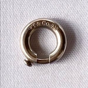 Tiffany & Co. Round Jump Clasp Ring (1) for Charms
